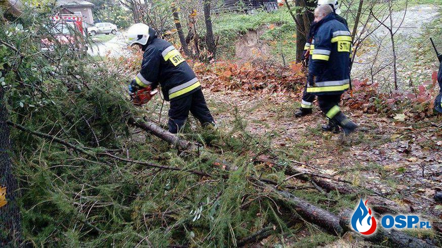 Powalone drzewo na drogę dojazdowa do domów w Biertowicach OSP Ochotnicza Straż Pożarna