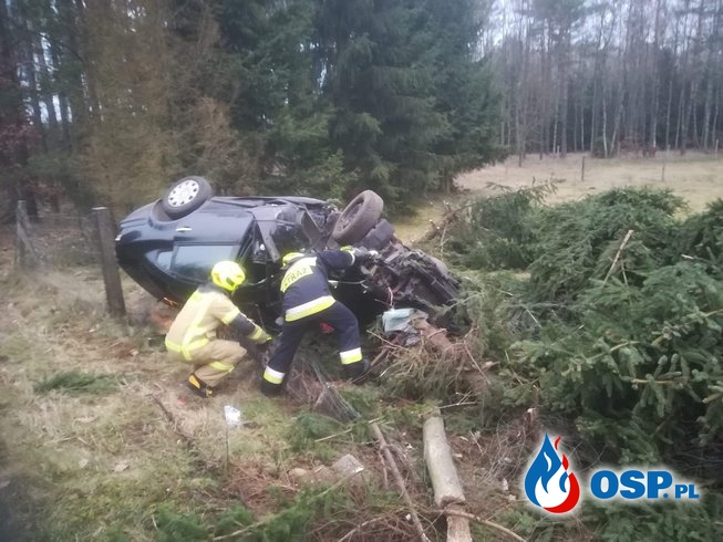 Volkswagen wypadł z drogi i dachował, ścinając dwa drzewa OSP Ochotnicza Straż Pożarna
