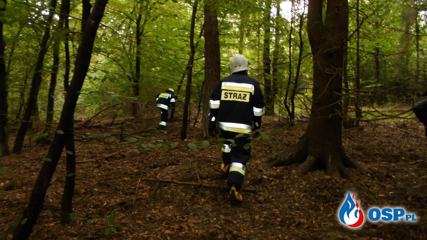 Ćwiczenia zgrywające jednostek OSP z terenu Gminy Włodowice    MORSKO 2016 OSP Ochotnicza Straż Pożarna