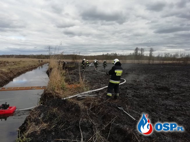 Pożar tataraków w miejscowości Woźniki OSP Ochotnicza Straż Pożarna