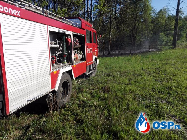 Pożar zarośli OSP Ochotnicza Straż Pożarna