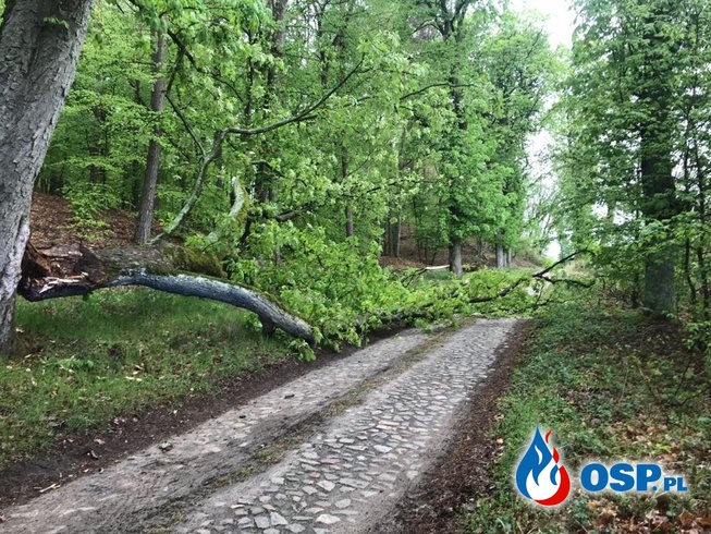 Zablokowana droga Krajnik Górny - Raduń OSP Ochotnicza Straż Pożarna