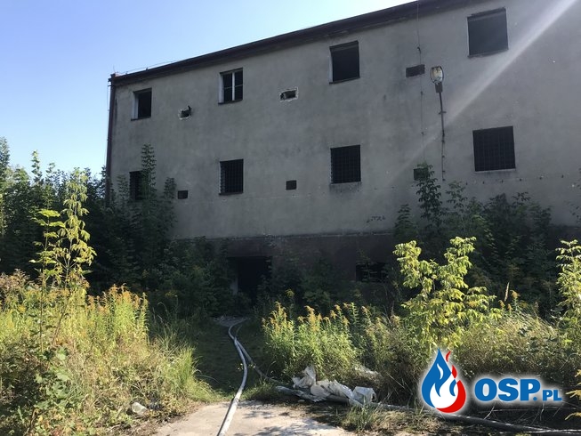 137/2019 Pożar śmieci w pustostanie OSP Ochotnicza Straż Pożarna