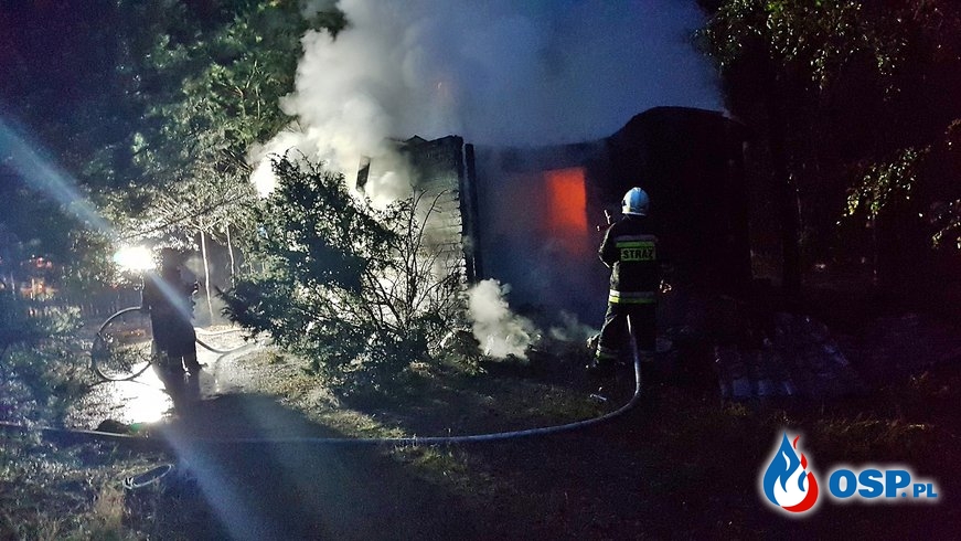 Tragedia na Mazowszu. Dwie osoby zginęły w pożarze domku letniskowego. OSP Ochotnicza Straż Pożarna