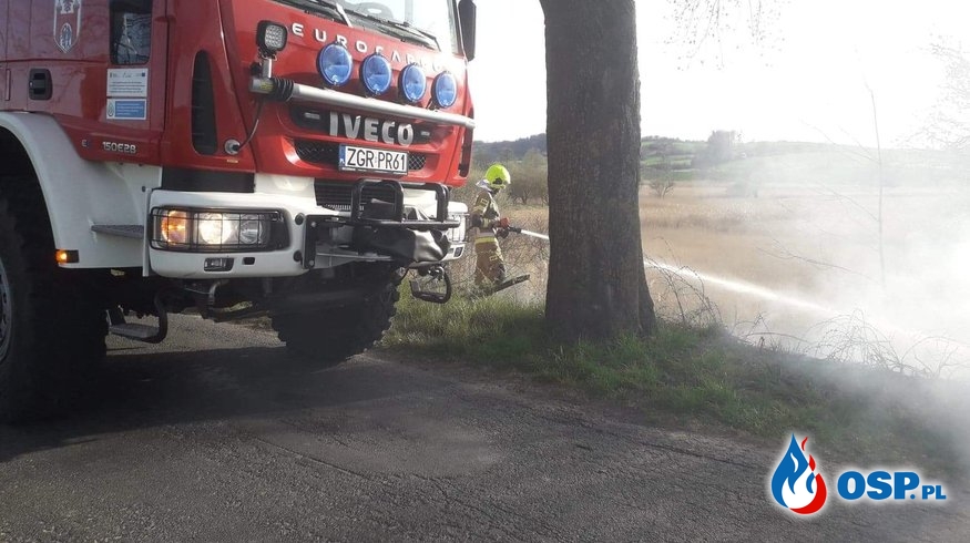 Pożar trawy i trzciny w Dolsku OSP Ochotnicza Straż Pożarna