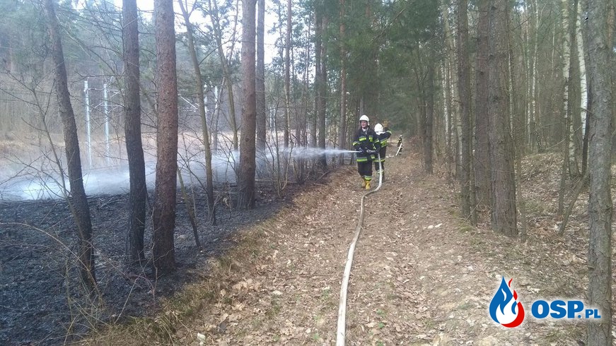 Pożar trawy w Bielawach OSP Ochotnicza Straż Pożarna
