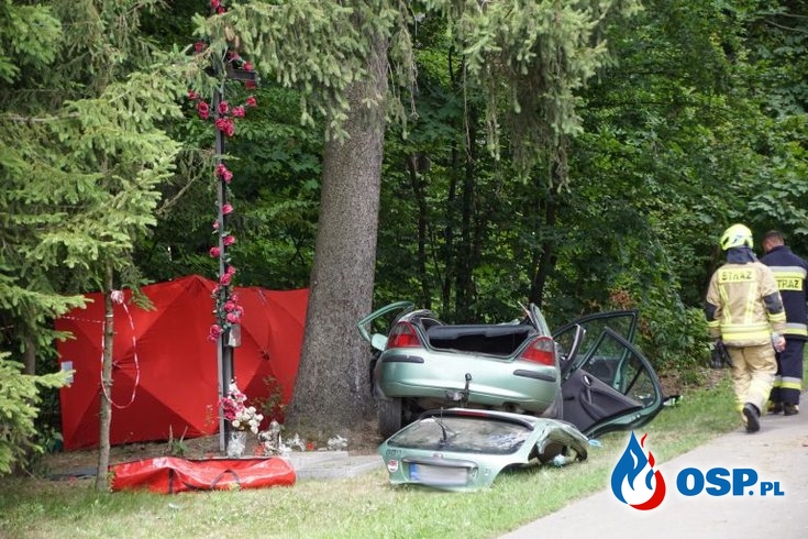 20-latka rozbiła auto na drzewie. Zginęła na miejscu. OSP Ochotnicza Straż Pożarna