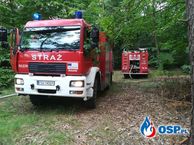 Pożar lasu i skarpy kolejowej OSP Ochotnicza Straż Pożarna