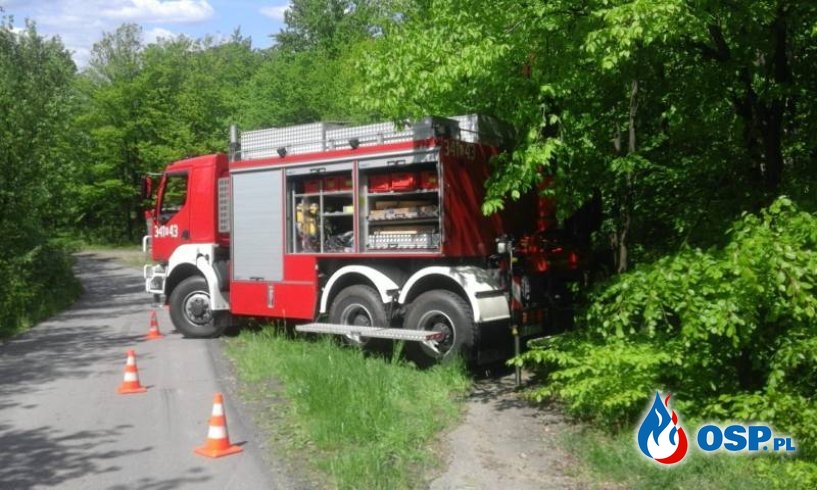 Strażacy ratowali krowę, która spadła ze skarpy OSP Ochotnicza Straż Pożarna