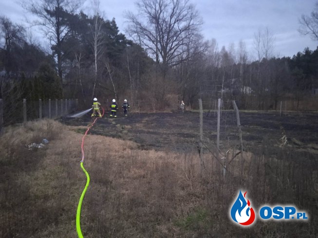 Pożar trawy OSP Ochotnicza Straż Pożarna