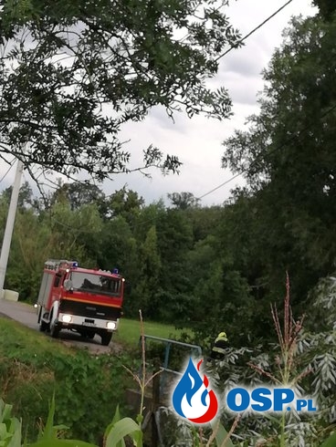Mnóstwo interwencji po przejściu burzy nad gminą Biała OSP Ochotnicza Straż Pożarna