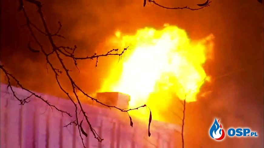 7 strażaków rannych podczas ogromnego pożaru sklepu w USA OSP Ochotnicza Straż Pożarna