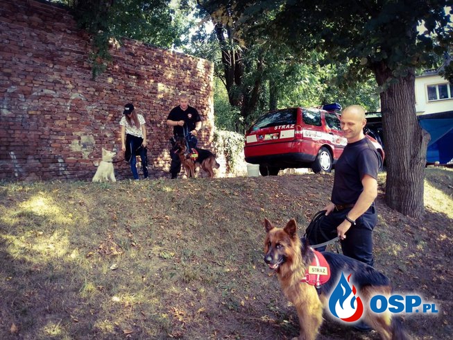 Zespoły z psami z wizytą w Gubinie OSP Ochotnicza Straż Pożarna