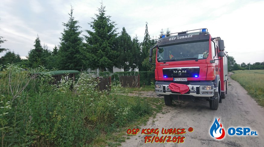 Owady Błonkoskrzydłe w kominie wentylacyjnym OSP Ochotnicza Straż Pożarna