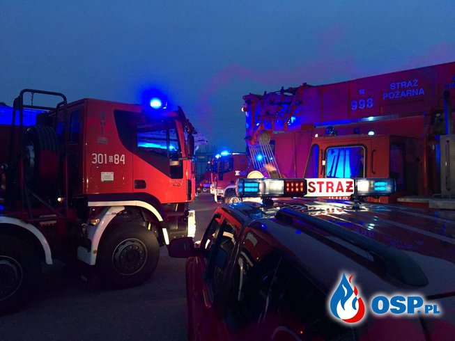 Opolscy strażacy stworzyli największą choinkę w Polsce! OSP Ochotnicza Straż Pożarna
