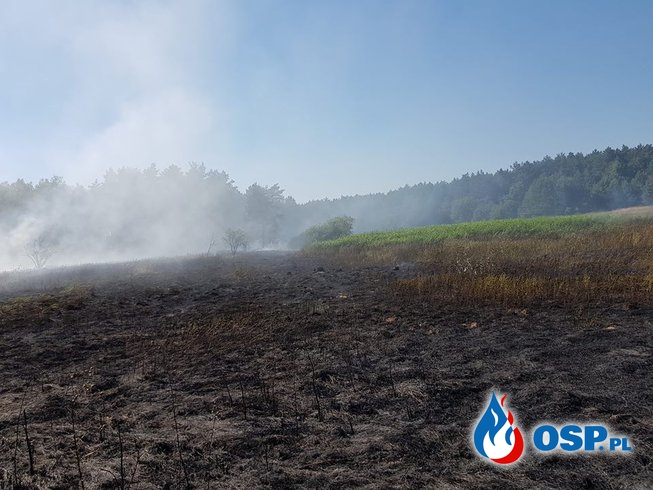 Pożar nieużytków w miejscowości Bara ok.2ha OSP Ochotnicza Straż Pożarna