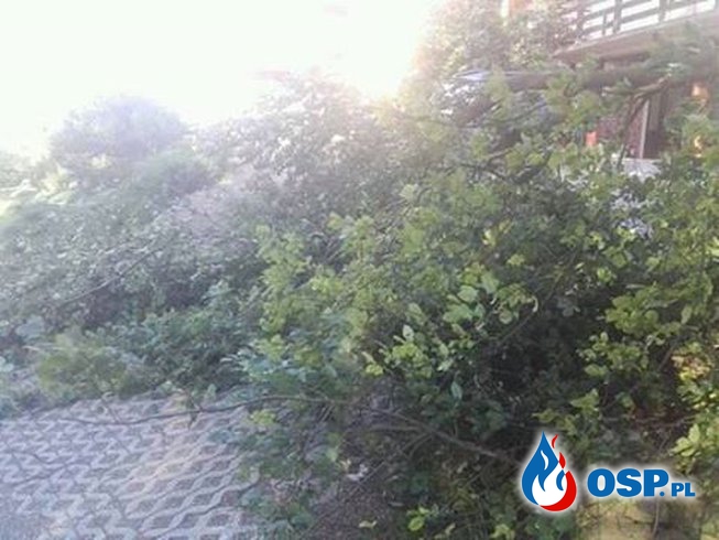 4 wyjazdy - jeden dzień, silny wiatr w Bieszczadach OSP Ochotnicza Straż Pożarna