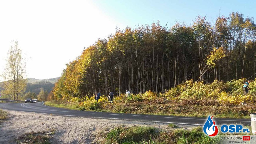 Dziwiszów: Wycinka drzew przy drodze wojewódzkiej nr 365. OSP Ochotnicza Straż Pożarna