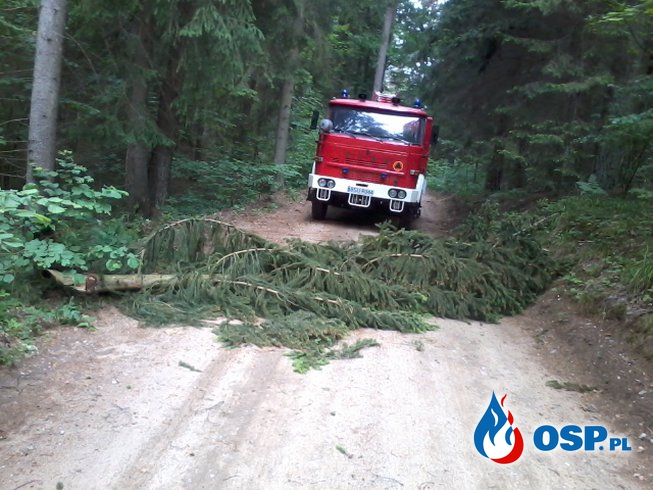 Wyjazdy do złamanych drzew, konarów OSP Ochotnicza Straż Pożarna