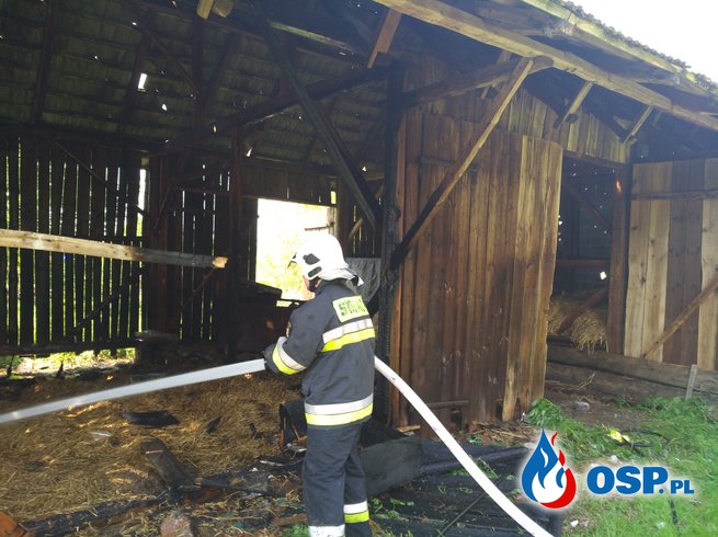 Dzięki szybkiej reakcji uratowali drewnianą stodołę. OSP Ochotnicza Straż Pożarna