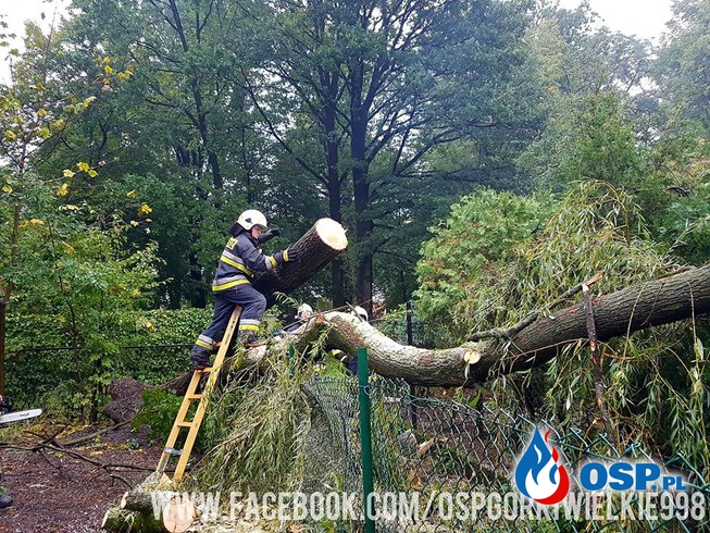 Drzewo spadło na budynek OSP Ochotnicza Straż Pożarna