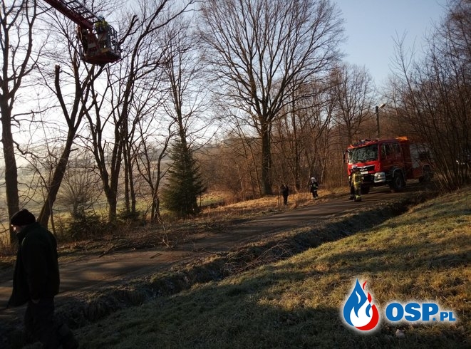 Pochylone drzewa nad drogą gminną - 25 stycznia 2020r. OSP Ochotnicza Straż Pożarna