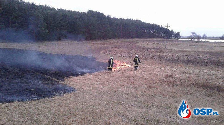 Pożar nieużytków w miejscowości Ognica OSP Ochotnicza Straż Pożarna