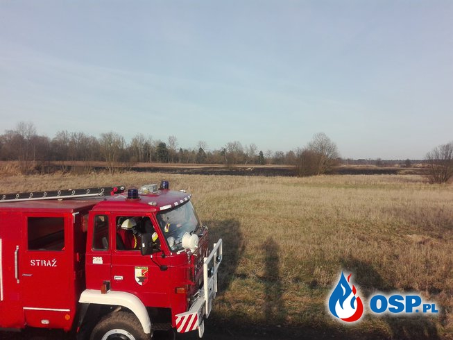 25,03,2017 Kolejny pożar traw OSP Ochotnicza Straż Pożarna
