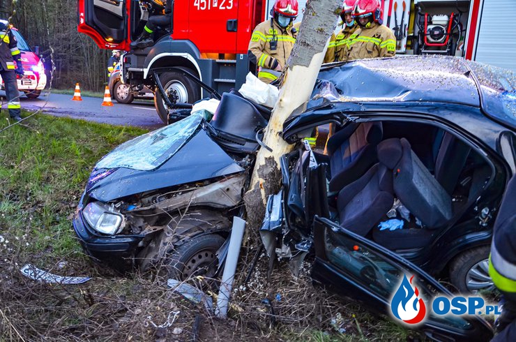 Honda dosłownie owinęła się wokół drzewa. 3 osoby trafiły do szpitala. OSP Ochotnicza Straż Pożarna