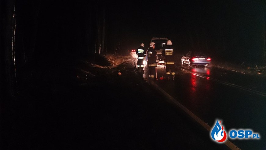 Bus relacji Gdańsk - Olsztyn uderzył w powalone drzewo. OSP Ochotnicza Straż Pożarna