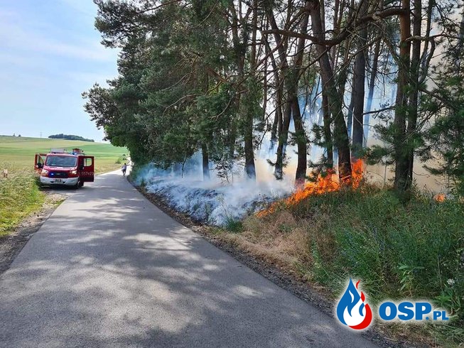 [Zdarzenie nr 7] Pożar lasu przy drodze Morzewo-Rzadkowo OSP Ochotnicza Straż Pożarna