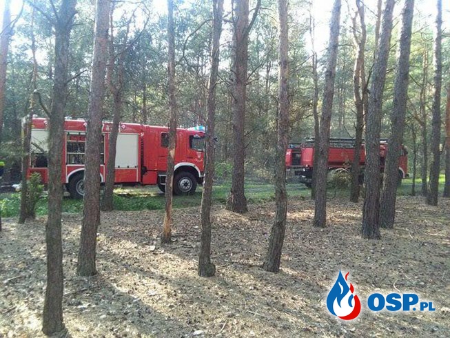 Kolejny pożar w Turcu OSP Ochotnicza Straż Pożarna