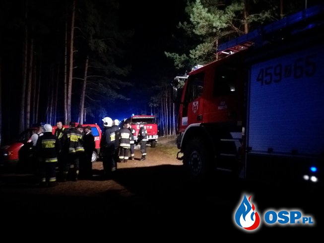 Szczęśliwy  finał  poszukiwań w lesie OSP Ochotnicza Straż Pożarna