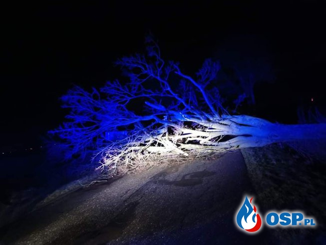 Usuwanie skutków orkanu Nadia OSP Ochotnicza Straż Pożarna