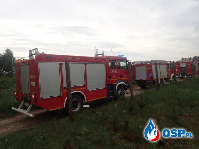 Kolejne dwa pożary lasów OSP Ochotnicza Straż Pożarna