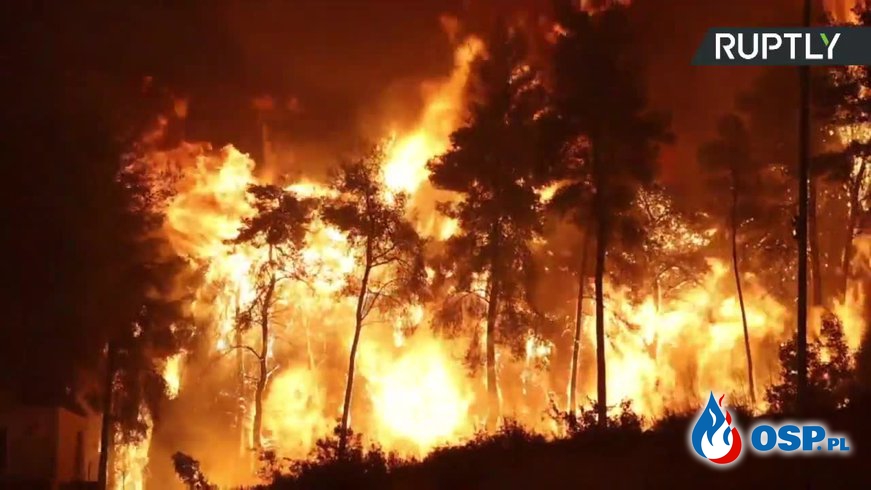Pożary w Grecji strawiły już ponad 50 tys. hektarów lasów. Zginął 38-letni strażak. OSP Ochotnicza Straż Pożarna