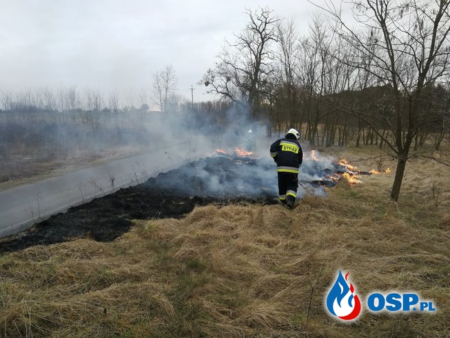 Pożar na trasie Moryń - Przyjezierze OSP Ochotnicza Straż Pożarna