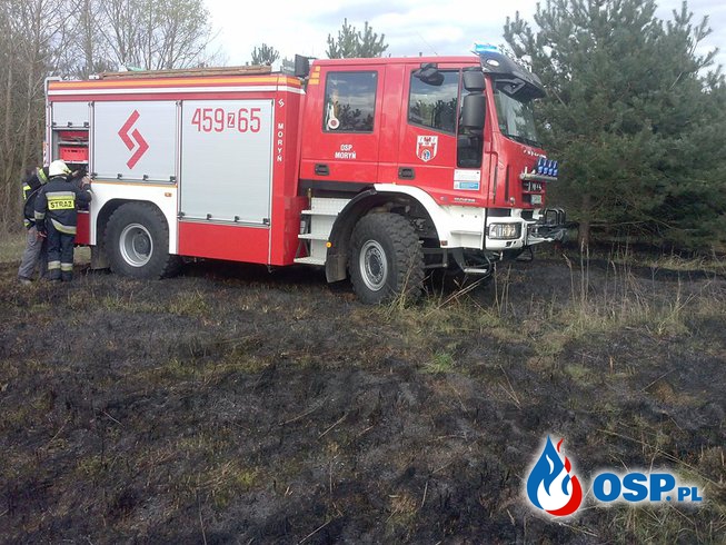 Pożar lasu- Ugaszony w ostatniej chwili OSP Ochotnicza Straż Pożarna