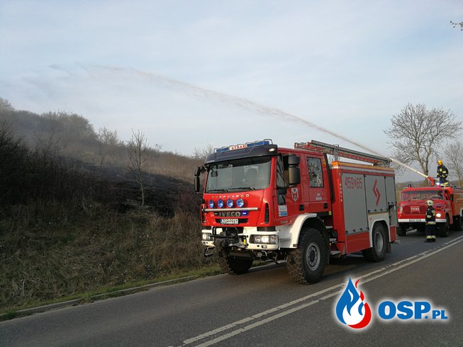 Pożar trawy w Moryniu OSP Ochotnicza Straż Pożarna
