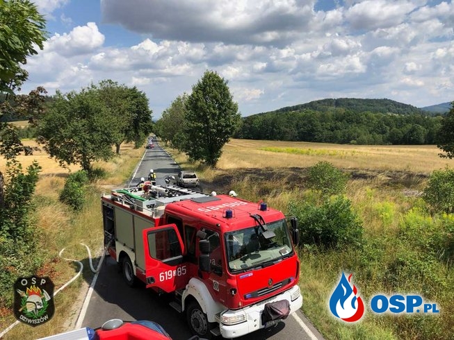ALARM! 20/2019 OSP Ochotnicza Straż Pożarna
