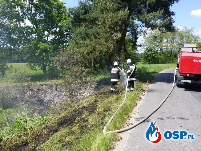 Pożar suchej trawy i drzewa niedaleko lasu za Grabiną OSP Ochotnicza Straż Pożarna