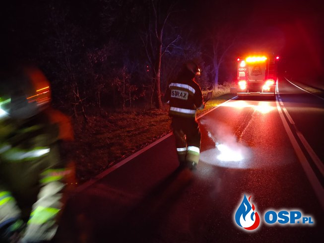 245/2021 Plama oleju na DK31 OSP Ochotnicza Straż Pożarna