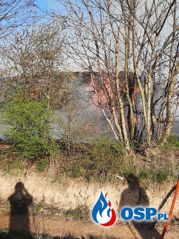 Pożar budynków wraz ze stertą słomy. 30-sto godzinna akcja OSP Ochotnicza Straż Pożarna