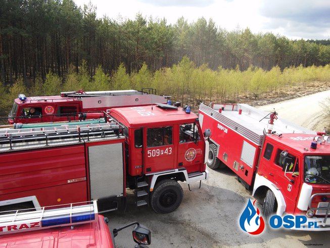 Manewry pożarnicze " LAS 2016 " OSP Ochotnicza Straż Pożarna