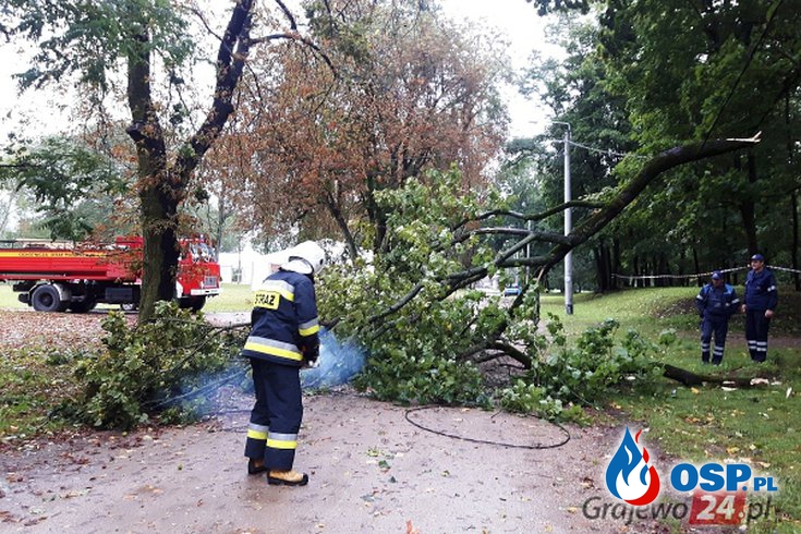 Przewrócone drzewa na skutek silnego wiatru OSP Ochotnicza Straż Pożarna