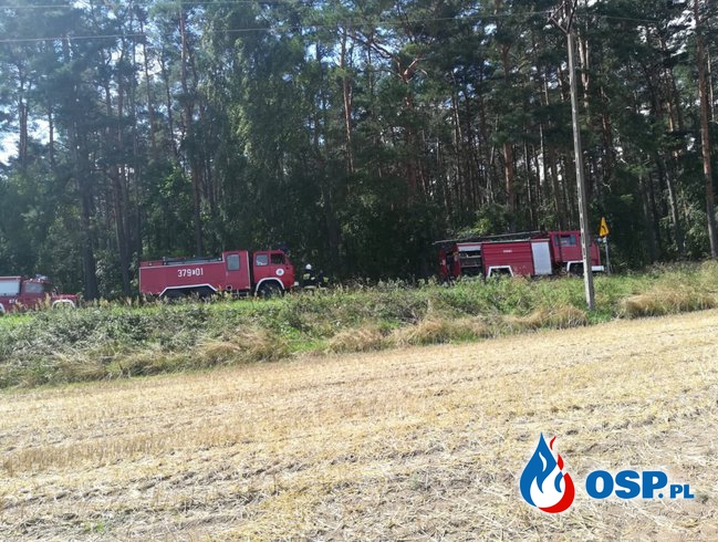 Osiecko - Pożar w akcji samolot! OSP Ochotnicza Straż Pożarna