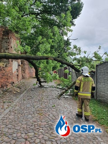 105/2020 Drzewo uszkodziło ogrodzenie OSP Ochotnicza Straż Pożarna