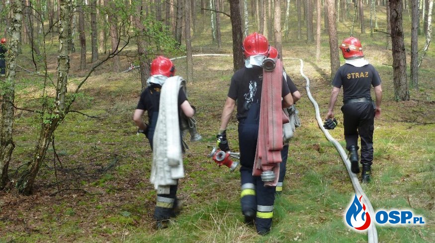 Blisko 150 polskich strażaków pojedzie do Grecji. Moduły GFFFV jadą na miejsce koncentracji. OSP Ochotnicza Straż Pożarna