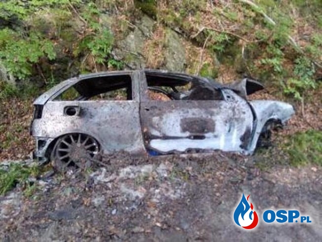 Wypadek i pożar. Auto zapaliło się po zderzeniu z drzewem. OSP Ochotnicza Straż Pożarna
