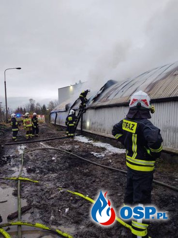 13 zastępów strażaków gasiło pożar w Nowym Sączu. Płonął skład opału. OSP Ochotnicza Straż Pożarna